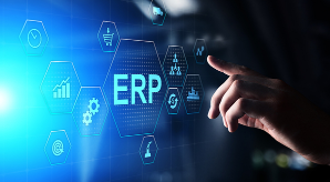 Standard vs Customised ERP What your Business Need