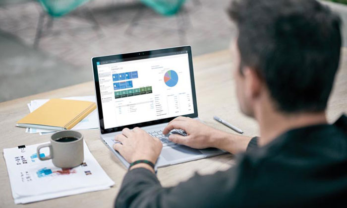 Microsoft Dynamics Partners Somalia