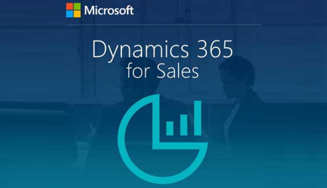 Microsoft Business Solution Provider