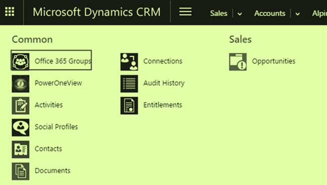 Microsoft Dynamics CRM.4