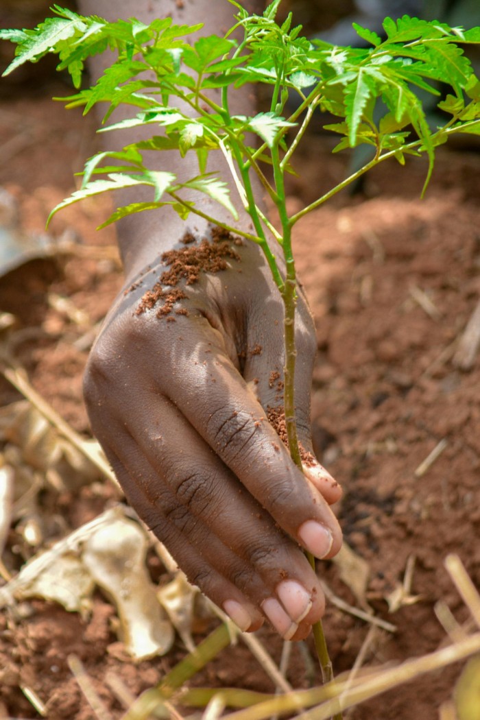 ERP Software for Agriculture